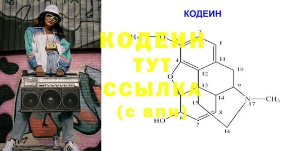 шишки Пестово