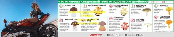 шишки Пестово