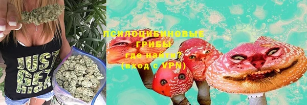 сатива Абинск