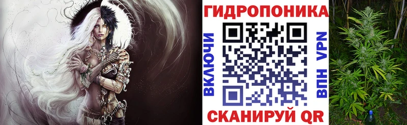 сколько стоит  Палласовка  кракен ONION  Каннабис гибрид 